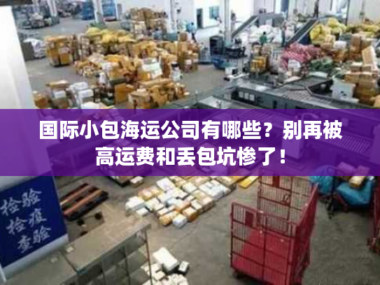 国际小包海运公司有哪些？别再被高运费和丢包坑惨了！