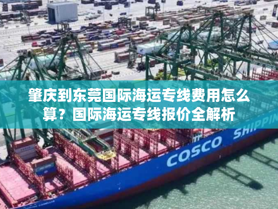 肇庆到东莞国际海运专线费用怎么算？国际海运专线报价全解析