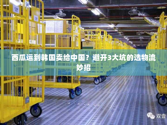 西瓜运到韩国卖给中国？避开3大坑的选物流妙招