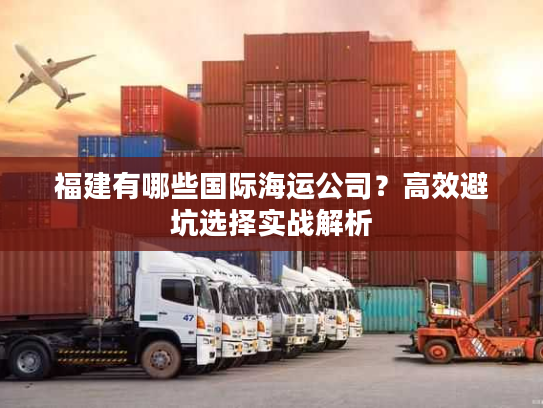 福建有哪些国际海运公司？高效避坑选择实战解析