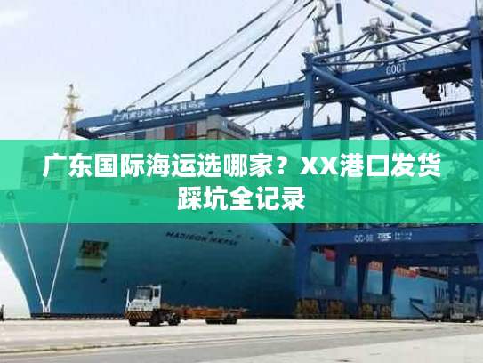 广东国际海运选哪家？XX港口发货踩坑全记录