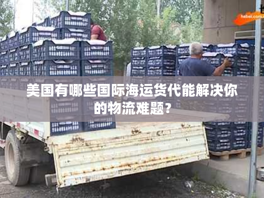 美国有哪些国际海运货代能解决你的物流难题？