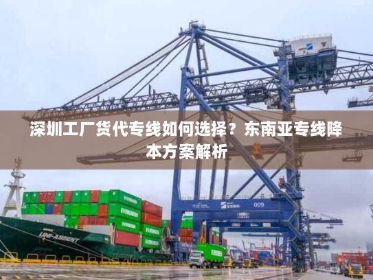 深圳工厂货代专线如何选择?东南亚专线降本方案解析 深圳工厂货代专线如何选择?东南亚专线降本方案解析