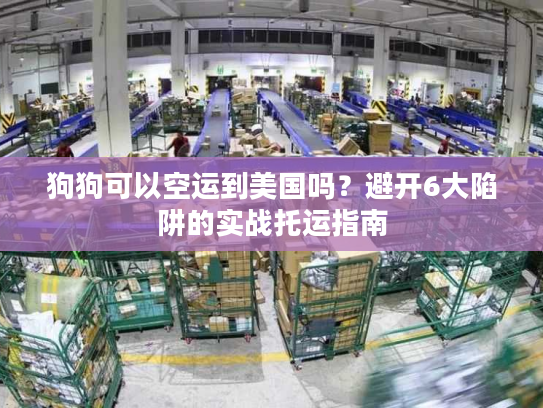 狗狗可以空运到美国吗？避开6大陷阱的实战托运指南