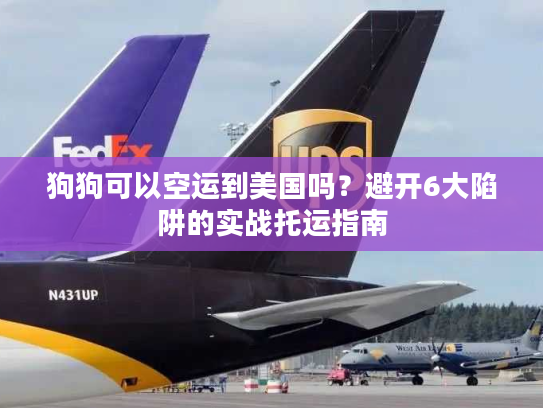狗狗可以空运到美国吗？避开6大陷阱的实战托运指南