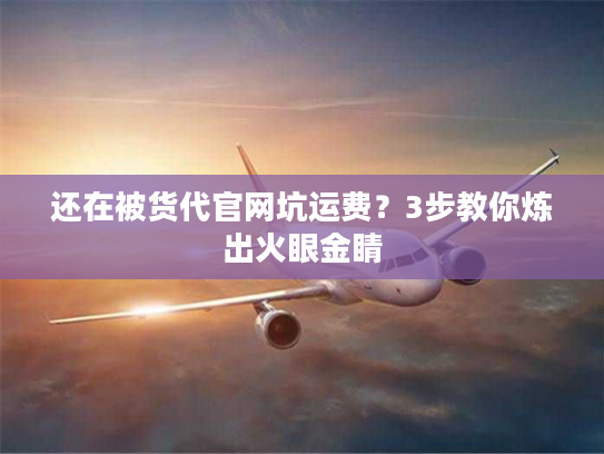 还在被货代官网坑运费？3步教你炼出火眼金睛