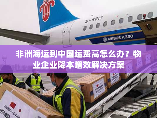非洲海运到中国运费高怎么办?物业企业降本增效解决方案 非洲海运到中国运费高怎么办?物业企业降本增效解决方案