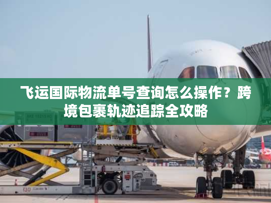 飞运国际物流单号查询怎么操作？跨境包裹轨迹追踪全攻略