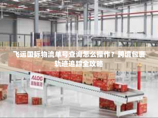 飞运国际物流单号查询怎么操作？跨境包裹轨迹追踪全攻略