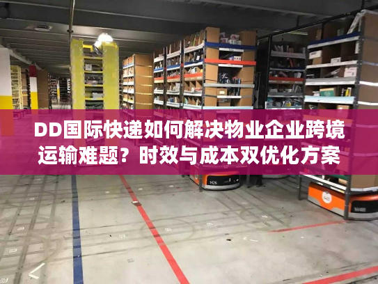 DD国际快递如何解决物业企业跨境运输难题？时效与成本双优化方案解析