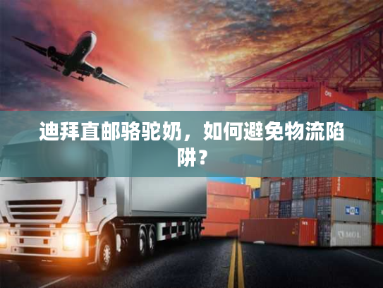 迪拜直邮骆驼奶，如何避免物流陷阱？