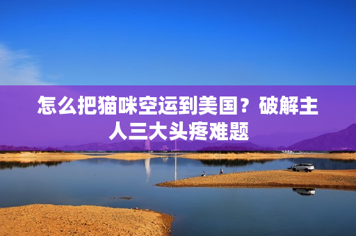 怎么把猫咪空运到美国？破解主人三大头疼难题