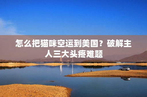 怎么把猫咪空运到美国？破解主人三大头疼难题