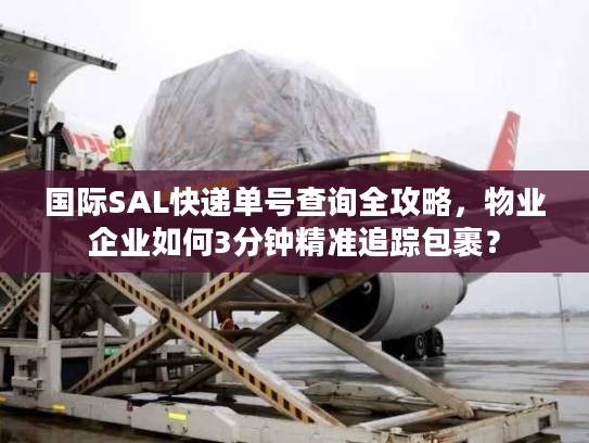 国际SAL快递单号查询全攻略，物业企业如何3分钟精准追踪包裹？