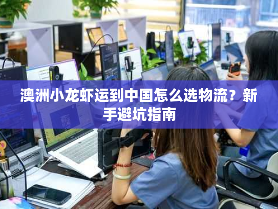澳洲小龙虾运到中国怎么选物流?新手避坑指南 澳洲小龙虾运到中国怎么选物流?新手避坑指南