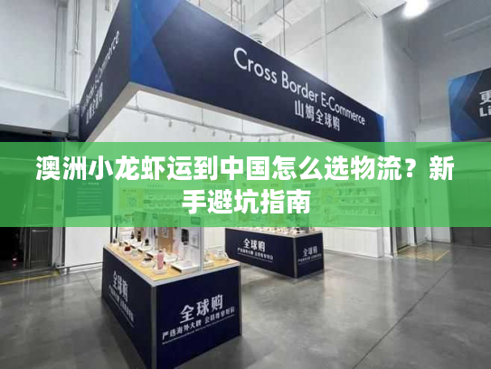 澳洲小龙虾运到中国怎么选物流？新手避坑指南