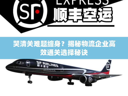 哭清关难题缠身？揭秘物流企业高效通关选择秘诀