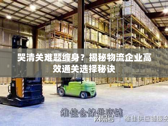哭清关难题缠身？揭秘物流企业高效通关选择秘诀