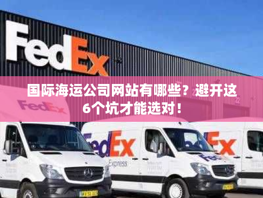 国际海运公司网站有哪些？避开这6个坑才能选对！