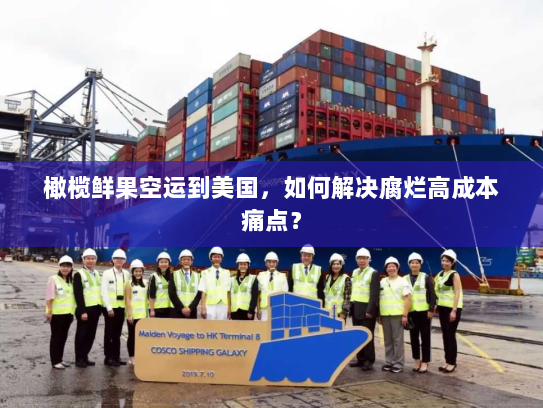 橄榄鲜果空运到美国,如何解决腐烂高成本痛点?