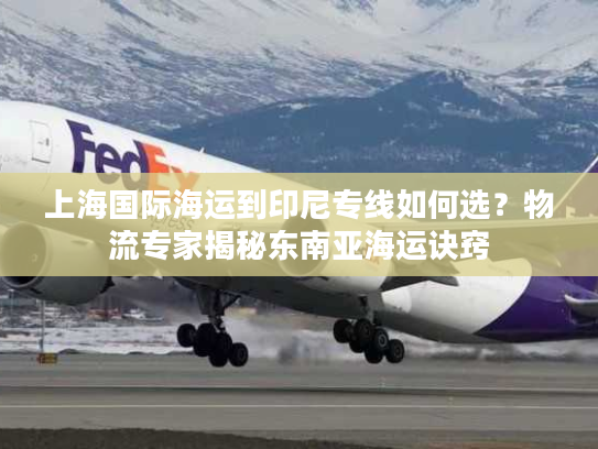 上海国际海运到印尼专线如何选？物流专家揭秘东南亚海运诀窍