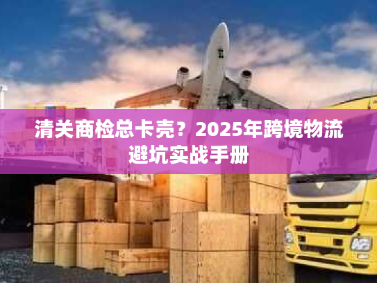 清关商检总卡壳？2025年跨境物流避坑实战手册