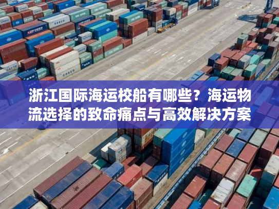 浙江国际海运校船有哪些？海运物流选择的致命痛点与高效解决方案