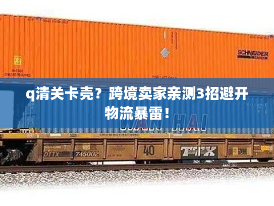 q清关卡壳？跨境卖家亲测3招避开物流暴雷！