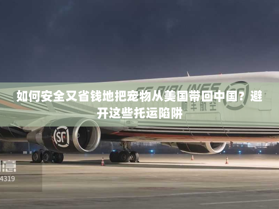 如何安全又省钱地把宠物从美国带回中国？避开这些托运陷阱