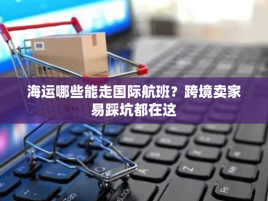 海运哪些能走国际航班?跨境卖家易踩坑都在这 海运哪些能走国际航班?跨境卖家易踩坑都在这