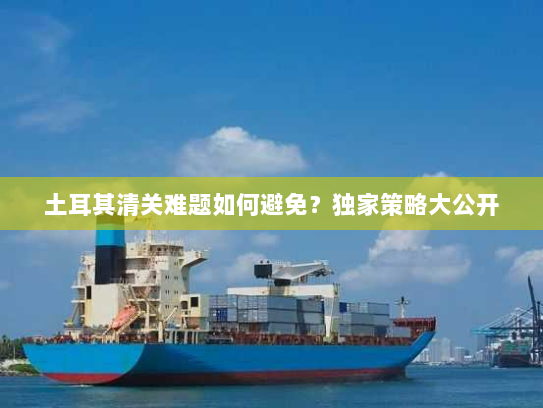 土耳其清关难题如何避免？独家策略大公开