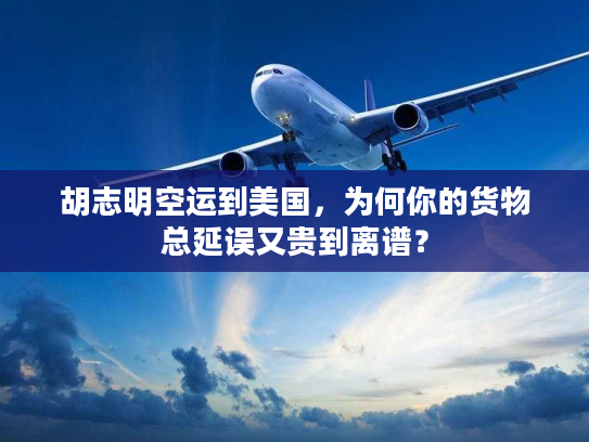 胡志明空运到美国，为何你的货物总延误又贵到离谱？