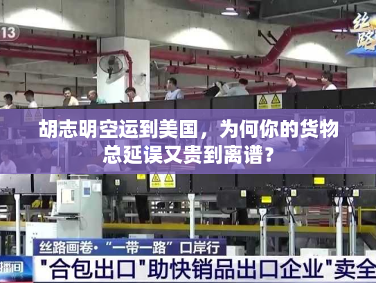 胡志明空运到美国，为何你的货物总延误又贵到离谱？