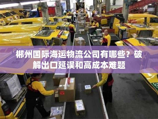 郴州国际海运物流公司有哪些？破解出口延误和高成本难题