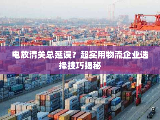 电放清关总延误?超实用物流企业选择技巧揭秘 电放清关总延误?超实用物流企业选择技巧揭秘