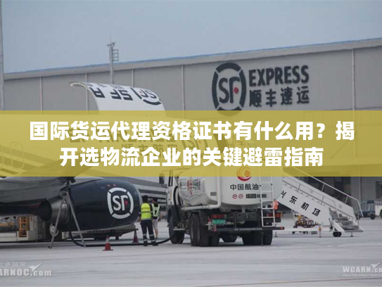 国际货运代理资格证书有什么用?揭开选物流企业的关键避雷指南 国际货运代理资格证书有什么用?揭开选物流企业的关键避雷指南