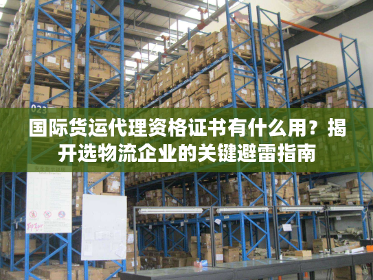 国际货运代理资格证书有什么用？揭开选物流企业的关键避雷指南