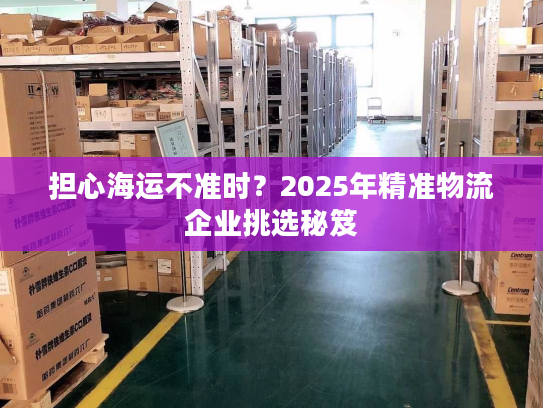 担心海运不准时？2025年精准物流企业挑选秘笈