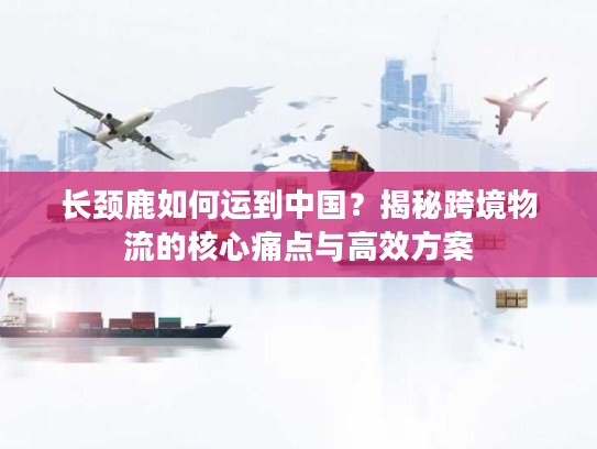 长颈鹿如何运到中国？揭秘跨境物流的核心痛点与高效方案