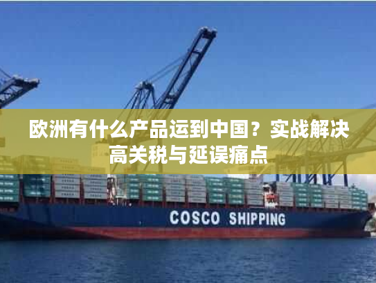欧洲有什么产品运到中国？实战解决高关税与延误痛点