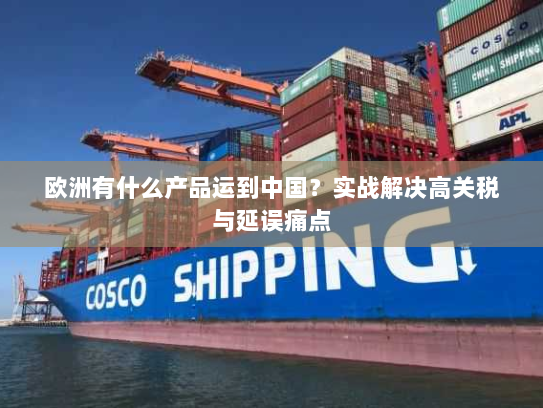 欧洲有什么产品运到中国?实战解决高关税与延误痛点 欧洲有什么产品运到中国?实战解决高关税与延误痛点