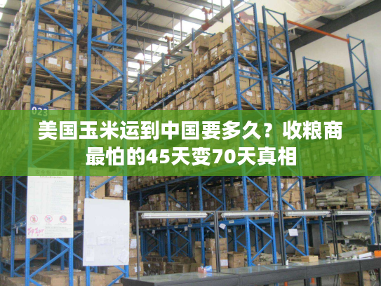 美国玉米运到中国要多久?收粮商最怕的45天变70天真相 美国玉米运到中国要多久?收粮商最怕的45天变70天真相
