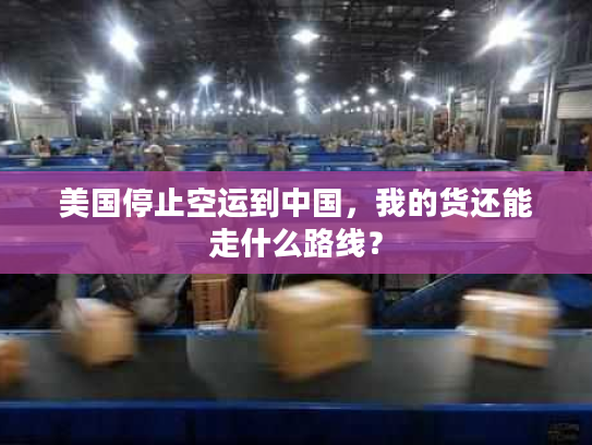 美国停止空运到中国，我的货还能走什么路线？