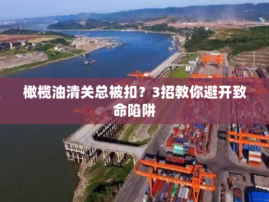 橄榄油清关总被扣？3招教你避开致命陷阱