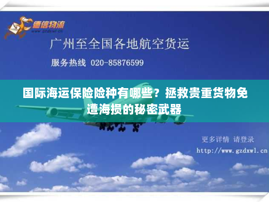 国际海运保险险种有哪些？拯救贵重货物免遭海损的秘密武器