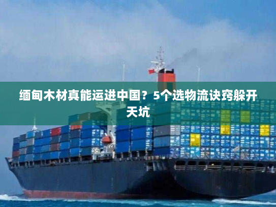 缅甸木材真能运进中国？5个选物流诀窍躲开天坑