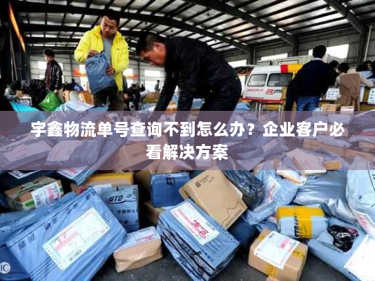宇鑫物流单号查询不到怎么办？企业客户必看解决方案