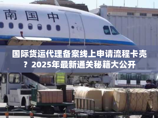 国际货运代理备案线上申请流程卡壳？2025年最新通关秘籍大公开