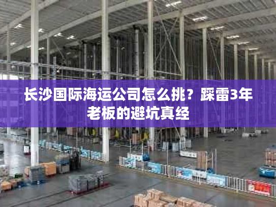 长沙国际海运公司怎么挑？踩雷3年老板的避坑真经