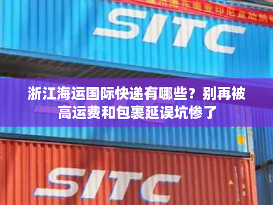 浙江海运国际快递有哪些？别再被高运费和包裹延误坑惨了
